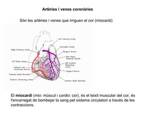 Artèries i venes coronàries
Són les artèries i venes que irriguen el cor (miocardi)
El miocardi (mio: múscul i cardio: cor), és el teixit muscular del cor, és
l'encarregat de bombejar la sang pel sistema circulatori a través de les
contraccions.
 