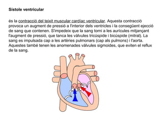 Sístole ventricular
és la contracció del teixit muscular cardíac ventricular. Aquesta contracció
provoca un augment de pressió a l'interior dels ventricles i la consegüent ejecció
de sang que contenen. S'impedeix que la sang torni a les aurícules mitjançant
l'augment de pressió, que tanca les vàlvules tricúspide i bicúspide (mitral). La
sang es impulsada cap a les artèries pulmonars (cap als pulmons) i l'aorta.
Aquestes també tenen les anomenades vàlvules sigmoides, que eviten el reflux
de la sang.
 