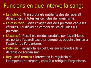 Funcions en que interve la sang:
► La nutrició: Transprota els nutrients des de l’aparell
  digestiu cap a totes les cèl·lules de l’organisme.
► La respiració: Porta l’oxigen des dels pulmons cap a les
  cèl·lules, i el diòxid de carboni de les cèl.lules als
  pulmons
► L’excreció: Recull els residus produïts per les cèl·lules i
  els porta a l’aparell excretor perquè es puguin eliminar a
  l’exterior de l’organisme.
► Defensa: Transporta les cèl·lules encarregades de la
  defensa de l’organisme.
► Regulació tèrmica : Interve en la regulació de
  latemperatura corporal, escalfa o refrigera l’organisme.
 