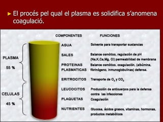 ► Elprocés pel qual el plasma es solidifica s’anomena
  coagulació.
 