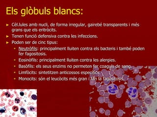 Els glòbuls blancs:
►   Cèl.lules amb nucli, de forma irregular, gairebé transparents i més
    grans que els eritròcits.
►   Tenen funció defensiva contra les infeccions.
►   Poden ser de cinc tipus:
      Neutròfils: principalment lluiten contra els bacteris i també poden
        fer fagositosis.
      Eosinòfils: principalment lluiten contra les alergies.
      Basòfils: els seus enzims no permeten fer coaguls de sang.
      Limfòcits: sintetitzen anticossos específics.
      Monocits: són el leucòcits més gran i fan la fagositosis.
 