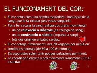 EL FUNCIONAMENT DEL COR:
►   El cor actua com una bomba aspiradora i impulsora de la
    sang, que la fa circular pels vasos sanguinis.
►   Per a fer circular la sang realitza dos grans moviments:
      un de relaxació o diàstole (es carrega de sang)
      un de contracció o sístole (impulsa la sang)
      tots dos originen el batec cardíac.
    El cor batega rítmicament unes 70 vegades per minut en
                                                          0.23
►
►   condicions normals (de 60 a 100 és normal).
►   Els esportistes solen tenir poques pulsacions per minut.
►   La coordinació entre els dos moviments s’anomena CICLE
    CARDÍAC
                                                         2.38

                                       6.06
 