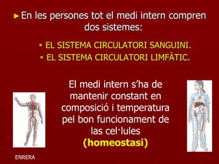 ► En     les persones tot el medi intern compren
                    dos sistemes:
          EL SISTEMA CIRCULATORI SANGUINI.
          EL SISTEMA CIRCULATORI LIMFÀTIC.


                 El medi intern s’ha de
                 mantenir constant en
               composició i temperatura
               pel bon funcionament de
                      las cel·lules
                    (homeostasi)
ENRERA
 