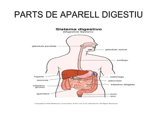 PARTS DE APARELL DIGESTIU 