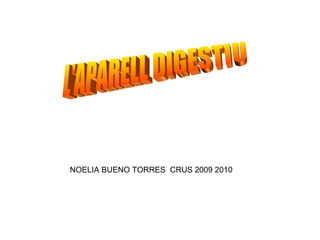 L’APARELL DIGESTIU NOELIA BUENO TORRES  CRUS 2009 2010 