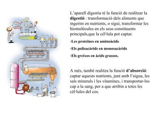 L’aparell digestiu té la funció de realitzar la  digestió  : transformació dels aliments que ingerim en nutrients, o sigui, transformar les biomolècules en els seus constituents principals,que la cèl·lula pot captar. Les proteïnes en aminoàcids Els polisacàrids en monosacàrids Els greixos en àcids grassos. A més, també realitza la funció  d’absorció : captar aquests nutrients, junt amb l’aigua, les sals minerals i les vitamines, i transportar-los cap a la sang, per a que arribin a totes les cèl·lules del cos. 