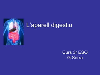 L’aparell digestiu Curs 3r ESO G.Serra 