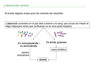L’absorció dels nutrients
El procés digestiu acaba quan els nutrients són absorbits.

L’absorció consisteix en el pas dels nutrients a la sang, que circula de l’intestí al
fetge mitjançant venes que conflueixen en la vena porta hepàtica.

Els monosacàrids i
els aminoàcids

Els àcids grassos
vasos limfàtics

passen
directament
SANG

 