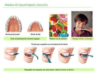 Raspallar-se després de cada àpat i abans d’anar a dormir Temps mínim: 2 minuts Anar al dentista de manera regular Reduir-ne el consum Procés per raspallar-se correctament les dents Anar al dentista de manera regular Reduir-ne el consum Malalties de l’aparell digestiu: prevenció Procés per raspallar-se correctament les dents Dents permanents Dents de llet Dents permanents Dents de llet 