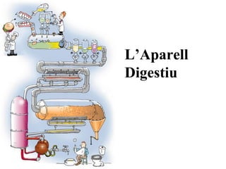 L’Aparell Digestiu 