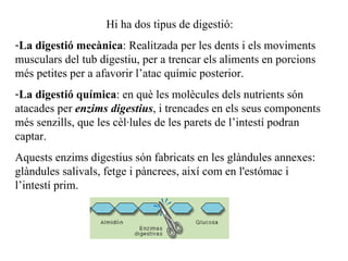 Hi ha dos tipus de digestió: La digestió mecànica : Realitzada per les dents i els moviments musculars del tub digestiu, per a trencar els aliments en porcions més petites per a afavorir l’atac químic posterior. La digestió química : en què les molècules  dels nutrients  són atacades per  enzims digestius , i trencades en els seus components més senzills, que les cèl·lules de les parets de l’intestí podran captar. Aquests enzims digestius són fabricats en les glàndules annexes: glàndules salivals, fetge i pàncrees, així com en l'estómac i l’intestí prim. 
