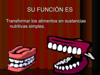 SU FUNCIÓN ES
Transformar los alimentos en sustancias
nutritivas simples.

 