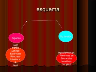 esquema

órganos
Boca
Farige
Laringe
Estómago
Páncreas
Intestinos
I
anus

Su función

Transformar los
Alimentos en
Sustancias
Nutritivas
simples

 