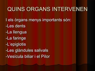 QUINS ORGANS INTERVENEN
I els òrgans menys importants són:
-Les dents
-La llengua
-La faringe
-L’epiglotis
-Les glàndules salivals
-Vesícula biliar i el Pílor

 