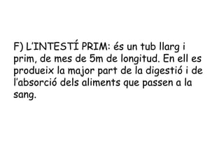 F) L’INTESTÍ PRIM: és un tub llarg i
prim, de mes de 5m de longitud. En ell es
produeix la major part de la digestió i de
l’absorció dels aliments que passen a la
sang.

 