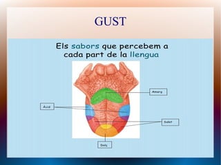 GUST
 