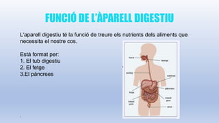 FUNCIÓ DE L’ÀPARELL DIGESTIU
L'aparell digestiu té la funció de treure els nutrients dels aliments que
necessita el nostre cos.
Està format per:
1. El tub digestiu
2. El fetge
3.El pàncrees
.
 