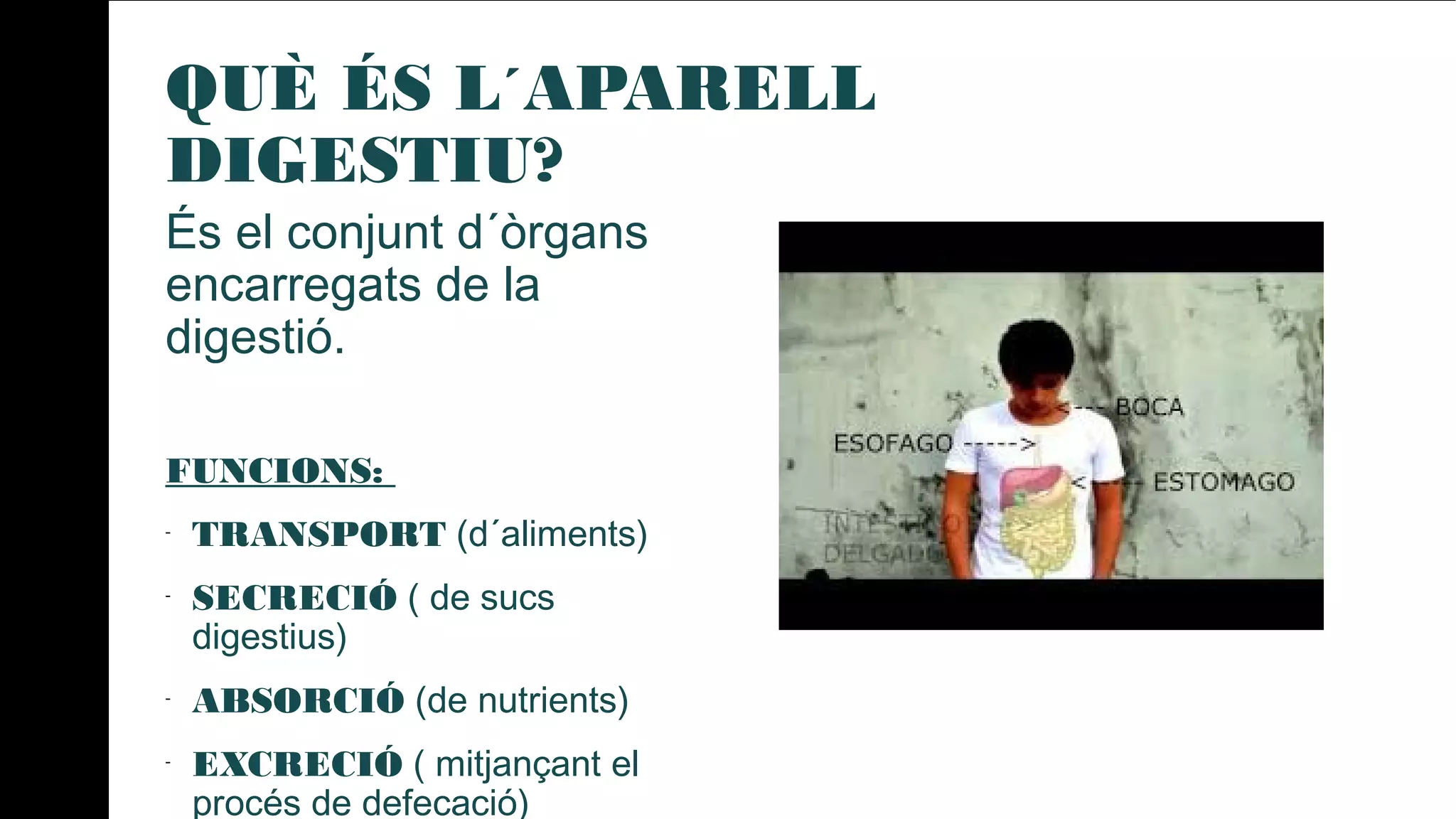 QUÈ ÉS L´APARELL
DIGESTIU?
És el conjunt d´òrgans
encarregats de la
digestió.
FUNCIONS:
-
TRANSPORT (d´aliments)
-
SECRECIÓ ( de sucs
digestius)
-
ABSORCIÓ (de nutrients)
-
EXCRECIÓ ( mitjançant el
procés de defecació)
 