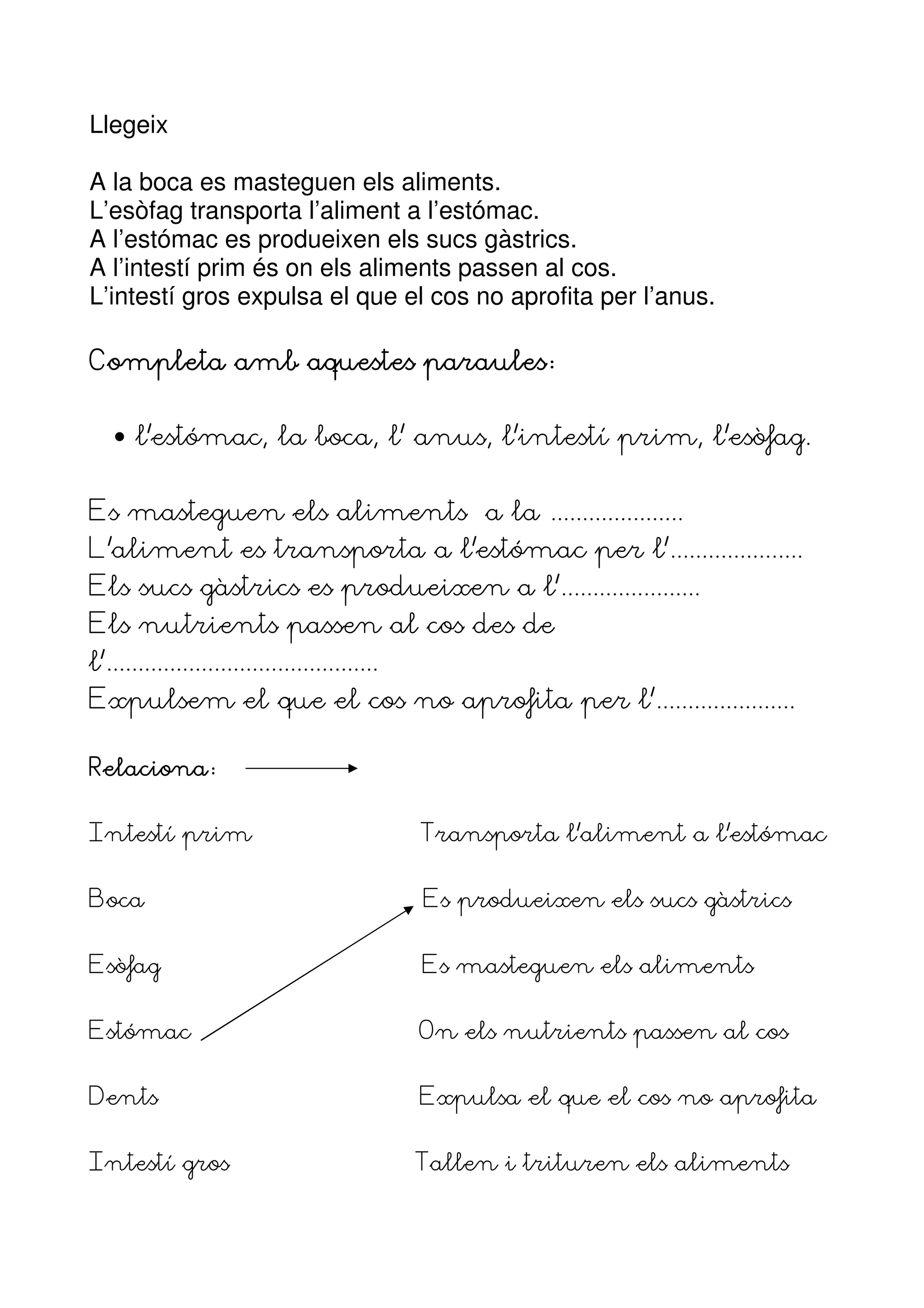 Llegeix

A la boca es masteguen els aliments.
L’esòfag transporta l’aliment a l’estómac.
A l’estómac es produeixen els sucs gàstrics.
A l’intestí prim és on els aliments passen al cos.
L’intestí gros expulsa el que el cos no aprofita per l’anus.

Completa amb aquestes paraules


   •—l’estómac, la boca, l’ anus, l’intestí prim, l’esòfag.


Es masteguen els aliments a la .....................
L’aliment es transporta a l’estómac per l’.....................
Els sucs gàstrics es produeixen a l’......................
Els nutrients passen al cos des de
l’...........................................
Expulsem el que el cos no aprofita per l’......................

Relaciona


Intestí prim                                    Transporta l’aliment a l’estómac


Boca                                            Es produeixen els sucs gàstrics


Esòfag                                          Es masteguen els aliments


Estómac                                         On els nutrients passen al cos


Dents                                           Expulsa el que el cos no aprofita


Intestí gros                                    Tallen i trituren els aliments
 