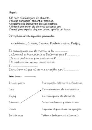 Llegeix

A la boca es masteguen els aliments.
L’esòfag transporta l’aliment a l’estómac.
A l’estómac es produeixen els sucs gàstrics.
A l’intestí prim és on els aliments passen al cos.
L’intestí gros expulsa el que el cos no aprofita per l’anus.

Completa amb aquestes paraules


   •—l’estómac, la boca, l’ anus, l’intestí prim, l’esòfag.


Es masteguen els aliments a la .....................
L’aliment es transporta a l’estómac per l’.....................
Els sucs gàstrics es produeixen a l’......................
Els nutrients passen al cos des de
l’...........................................
Expulsem el que el cos no aprofita per l’......................

Relaciona


Intestí prim                                    Transporta l’aliment a l’estómac


Boca                                            Es produeixen els sucs gàstrics


Esòfag                                          Es masteguen els aliments


Estómac                                         On els nutrients passen al cos


Dents                                           Expulsa el que el cos no aprofita


Intestí gros                                    Tallen i trituren els aliments
 
