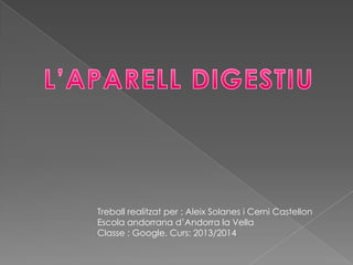 Treball realitzat per : Aleix Solanes i Cerni Castellon
Escola andorrana d’Andorra la Vella
Classe : Google. Curs: 2013/2014

 