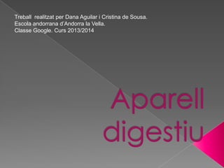 Treball realitzat per Dana Aguilar i Cristina de Sousa.
Escola andorrana d’Andorra la Vella.
Classe Google. Curs 2013/2014

 
