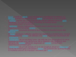 •
•

•
•
•

•

•

boca: conté les dents, que mosseguen i masteguen el menjar. La
llengua barreja els aliments amb saliva i els empeny cap a la gola.
L'esòfag: serveix de conducte de pas per als aliments entre la gola i
l'estómac. Un cop ha arribat a l'esòfag, el menjar passa
automàticament a l'estómac.
L'estómac: tritura i barreja els aliments amb substàncies àcides i
digestives anomenades enzims.
El pàncrees: produeix els enzims que faciliten la transformació dels
aliments.
El fetge: produeix i allibera substàncies digestives a l'intestí prim. També
emmagatzema sucres i els allibera a la sang segons les necessitats de
l'organisme.
L'intestí prim: és un tub llarg i prim, de més de 5 m de longitud. En ell es
produeix la major part del procés de la digestió i de l'absorció dels
aliments. Els enzims alliberats degraden el menjar. L'intestí prim
desemboca a l'intestí gros.
L'intestí gros: és un tub ample d'1,5 m de longitud, situat a l'abdomen. A
través de l'intestí gros s'absorbeix l'aigua i les substàncies químiques útils.
El material sobrant és impulsat i excretat per l'anus.

 