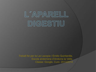 Treball fet per la Lei Lacopia i Emilio Quintanilla.
Escola andorrana d’Andorra la Vella.
Classe: Google. Curs: 2013/2014

 