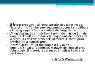 • El fetge: produeix i allibera substàncies digestives a
  l'intestí prim. També emmagatzema sucres i els allibera
  a la sang segons les necessitats de l'organisme.
• L'intestí prim: és un tub llarg i prim, de més de 5 m de
  longitud. En ell es produeix la major part del procés de
  la digestió i de l'absorció dels aliments.,l'intestí prim
  desemboca a l'intestí gros.
• L'intestí gros: és un tub ample d'1,5 m de
  longitud, situat a l'abdomen. A través de l'intestí gros
  s'absorbeix.El material sobrant és impulsat i excretat
  per l'anus.

                                -Victòria Piernagorda.
 