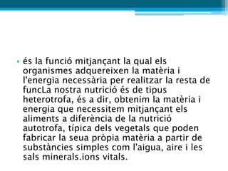 • és la funció mitjançant la qual els
  organismes adquereixen la matèria i
  l'energia necessària per realitzar la resta de
  funcLa nostra nutrició és de tipus
  heterotrofa, és a dir, obtenim la matèria i
  energia que necessitem mitjançant els
  aliments a diferència de la nutrició
  autotrofa, típica dels vegetals que poden
  fabricar la seua pròpia matèria a partir de
  substàncies simples com l'aigua, aire i les
  sals minerals.ions vitals.
 