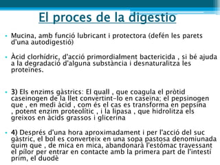 El proces de la digestio
• Mucina, amb funció lubricant i protectora (defén les parets
  d'una autodigestió)

• Àcid clorhídric, d'acció primordialment bactericida , si bé ajuda
  a la degradació d'alguna substància i desnaturalitza les
  proteïnes.


• 3) Els enzims gàstrics: El quall , que coagula el pròtid
  caseinogen de la llet convertint-lo en caseïna; el pepsinogen
  que , en medi àcid , com és el cas es transforma en pepsina
  , potent enzim proteolític , i la lipasa , que hidrolitza els
  greixos en àcids grassos i glicerina

• 4) Després d'una hora aproximadament i per l'acció del suc
  gàstric, el bol es converteix en una sopa pastosa denomiunada
  quim que , de mica en mica, abandonarà l'estómac travessant
  el pílor per entrar en contacte amb la primera part de l'intestí
  prim, el duodè
 