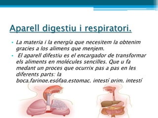 Aparell digestiu i respiratori.
• La materia i la energía que necesitem la obtenim
  gracies a los alimens que menjem.
• El aparell difestiu es el encargador de transformar
  els aliments en molécules sencilles. Que u fa
  medant un proces que ocurrix pas a pas en les
  diferents parts: la
  boca,faringe,esófag,estomac, intestí prim, intestí
  gros, i el anus.
 