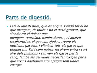 Parts de digestió.
• Està el intestí prim, que es el que s’endú tot el bo
 que mengem, después esta el destí gruixut, que
 s’endu tot el dolent que
 mengem, (xocolata, llaminadures) , el aparell
 respitarori es el que ens ajuda a treure els
 nutrients gasosos i eliminar tots els gasos que
 tinguesem. Tal i com natros respirem entra i surt
 aire dels pulmons i canvien els gasos per la
 sang, també les cel·lules necesiten oxigen per a
 que aixins agafiguen aire i puguesem tindre
 energia.
 