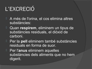L’EXCRECIÓ






A més de l'orina, el cos elimina altres
substàncies:
Quan respirem, eliminem un tipus de
substàncies residuals, el diòxid de
carboni.
Per la pell eliminem també substàncies
residuals en forma de suor.
Per l'anus eliminem aquelles
substàncies dels aliments que no hem
digerit.

 
