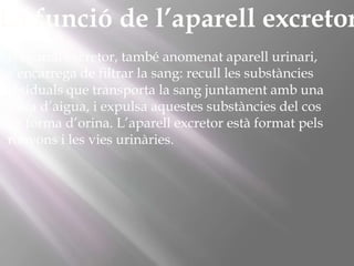 La funció de l’aparell excretor
L’aparell excretor, també anomenat aparell urinari,
s’encarrega de filtrar la sang: recull les substàncies
residuals que transporta la sang juntament amb una
mica d’aigua, i expulsa aquestes substàncies del cos
en forma d’orina. L’aparell excretor està format pels
ronyons i les vies urinàries.

 