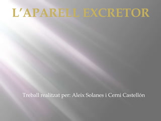 L’APARELL EXCRETOR

Treball realitzat per: Aleix Solanes i Cerni Castellón

 