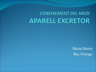 Maria Marín Roc Orengo 