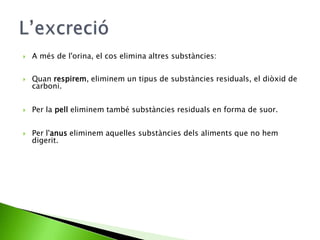 

A més de l'orina, el cos elimina altres substàncies:



Quan respirem, eliminem un tipus de substàncies residuals, el diòxid de
carboni.



Per la pell eliminem també substàncies residuals en forma de suor.



Per l'anus eliminem aquelles substàncies dels aliments que no hem
digerit.

 
