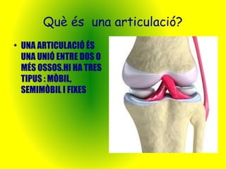 Què és una articulació? 
● UNA ARTICULACIÓ ÉS 
UNA UNIÓ ENTRE DOS O 
MÉS OSSOS.HI HA TRES 
TIPUS : MÒBIL, 
SEMIMÒBIL I FIXES 
 