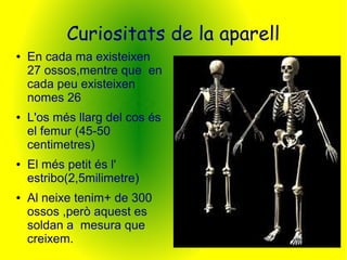 Curiositats de la aparell 
● En cada ma existeixen 
27 ossos,mentre que en 
cada peu existeixen 
nomes 26 
● L'os més llarg del cos és 
el femur (45-50 
centimetres) 
● El més petit és l' 
estribo(2,5milimetre) 
● Al neixe tenim+ de 300 
ossos ,però aquest es 
soldan a mesura que 
creixem. 
