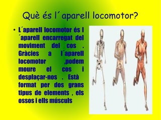 Què és l´aparell locomotor? 
● L´aparell locomotor és l 
´aparell encarregat del 
moviment del cos . 
Gràcies a l´aparell 
locomotor ,podem 
moure el cos i 
desplaçar-nos . Està 
format per dos grans 
tipus de elements , els 
ossos i ells músculs 
 