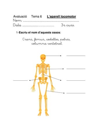 Avaluació Tema 6 L’aparell locomotor
Nom ………………………………………………
Data ……………....................        3r curs.

  1- Escriu el nom d’aquests ossos:

      Crani, fèmur, costelles, pelvis,
             columna vertebral.
 