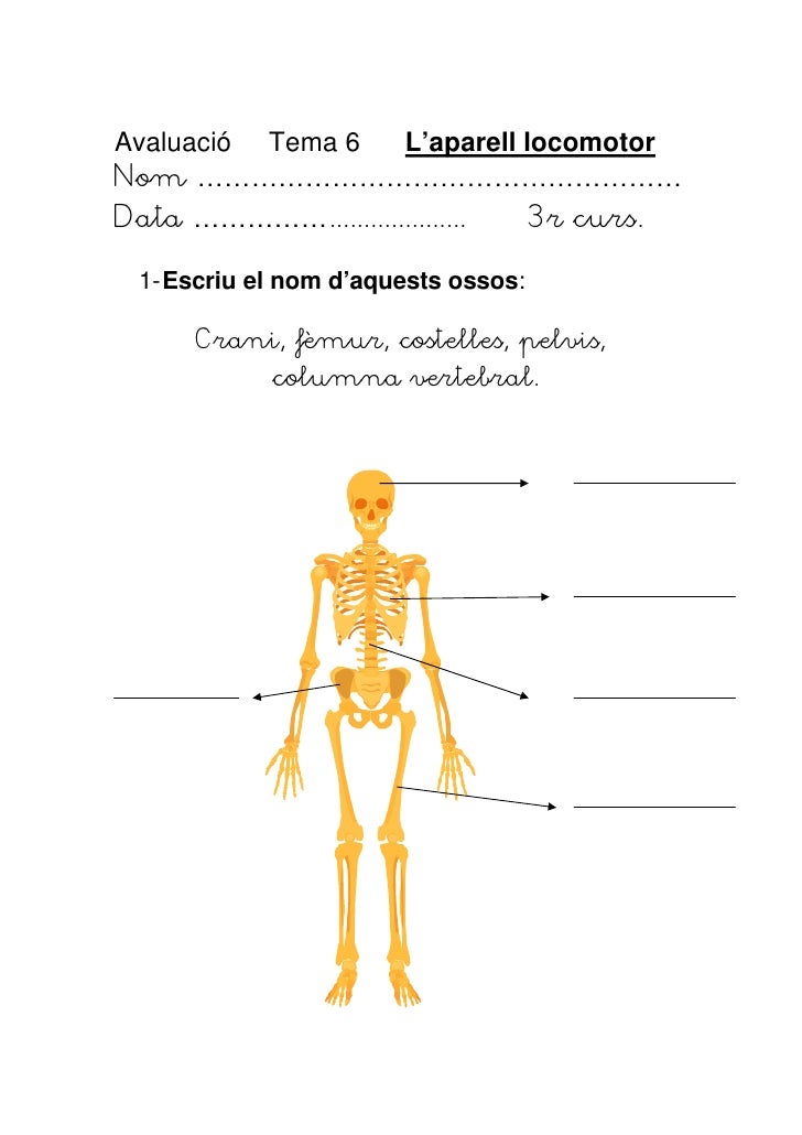 download physiologische