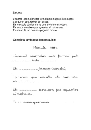 Llegeix

L’aparell locomotor està format pels músculs i els ossos.
L’esquelet està format per ossos.
Els músculs són les carns que envolten els ossos.
Els ossos seveixen per aguantar el nostre cos.
Els músculs fan que ens poguem moure.


Completa amb aquestes paraules:

                           Músculs,             ossos.


L’aparell              locomotor               està         format      pels
.......................... i els ......................


Els ........................... formen l’esquelet.


La       carn           que        envolta                els   ossos   són
els.............................


Els ......................... serveixen per aguantar
el nostre cos.


Ens movem gràcies als ....................................
 