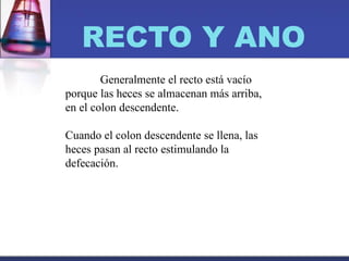 RECTO Y ANO
Generalmente el recto está vacío
porque las heces se almacenan más arriba,
en el colon descendente.
Cuando el colon descendente se llena, las
heces pasan al recto estimulando la
defecación.
 