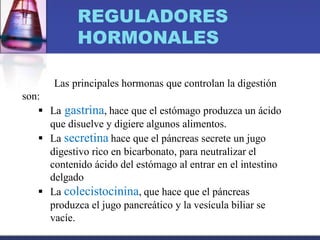 REGULADORES
HORMONALES
Las principales hormonas que controlan la digestión
son:
 La gastrina, hace que el estómago produzca un ácido
que disuelve y digiere algunos alimentos.
 La secretina hace que el páncreas secrete un jugo
digestivo rico en bicarbonato, para neutralizar el
contenido ácido del estómago al entrar en el intestino
delgado
 La colecistocinina, que hace que el páncreas
produzca el jugo pancreático y la vesícula biliar se
vacíe.
 