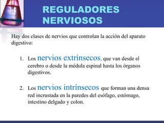 REGULADORES
NERVIOSOS
Hay dos clases de nervios que controlan la acción del aparato
digestivo:
1. Los nervios extrínsecos, que van desde el
cerebro o desde la médula espinal hasta los órganos
digestivos.
2. Los nervios intrínsecos que forman una densa
red incrustada en la paredes del esófago, estómago,
intestino delgado y colon.
 
