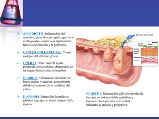  APENDICITIS: Inflamación del
apéndice, generalmente aguda, que no so
se diagnostica evoluciona rápidamente
hacia la perforación y la peritonitis.
 CANCER COLORRECTAL: Tumor
maligno del intestino grueso.
 CÓLICO: Dolor visceral agudo
producido por la torsión, obstrucción de
un órgano hueco como el intestino.
 DIARREA: Eliminación frecuente de
heces sueltas y acuosas, generalmente
debido al aumento de la motilidad del
colon.
 DISPEPSIA: Sensación de molestia
gástrica vaga que se siente después de la
ingesta.
COLITIS: Inflamación del colon producida
bien por un colon irritable episódico y
funcional, bien por una enfermedad
inflamatoria crónica y progresiva.
 
