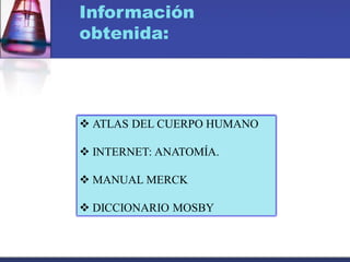 Información
obtenida:
 ATLAS DEL CUERPO HUMANO
 INTERNET: ANATOMÍA.
 MANUAL MERCK
 DICCIONARIO MOSBY
 