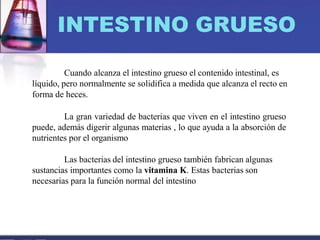 INTESTINO GRUESO
Cuando alcanza el intestino grueso el contenido intestinal, es
líquido, pero normalmente se solidifica a medida que alcanza el recto en
forma de heces.
La gran variedad de bacterias que viven en el intestino grueso
puede, además digerir algunas materias , lo que ayuda a la absorción de
nutrientes por el organismo
Las bacterias del intestino grueso también fabrican algunas
sustancias importantes como la vitamina K. Estas bacterias son
necesarias para la función normal del intestino
 